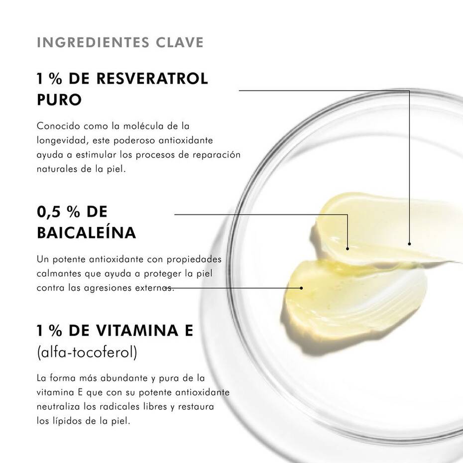 Resveratrol B E - Imagen 5